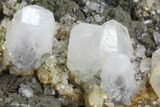 Calcite, Pyrite and Fluorite Association - Fluorescent #90232-2